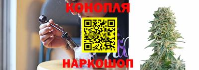 индика Рыбинск