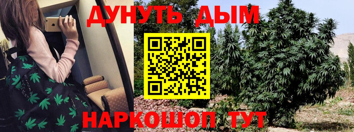 Каннабис SATIVA & INDICA Прохладный
